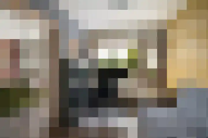 Akkerwinde 116 Capelle aan den IJssel thumbnail 17