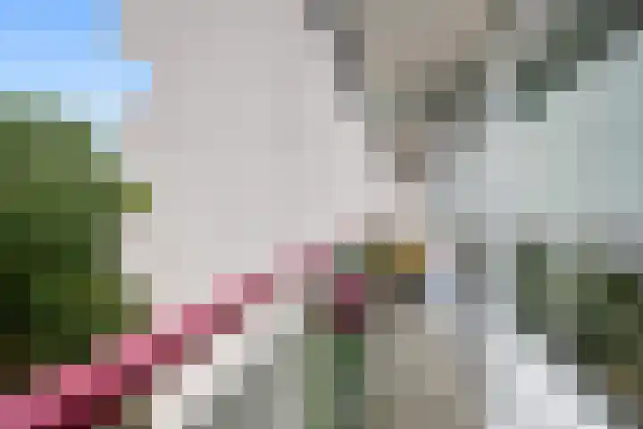 Akkerwinde 116 Capelle aan den IJssel thumbnail 25