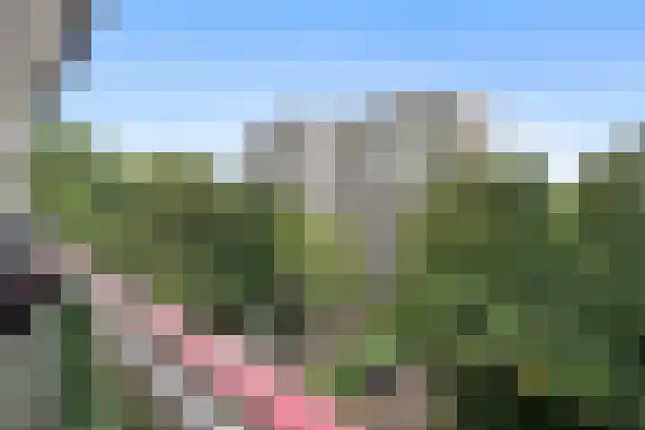 Akkerwinde 116 Capelle aan den IJssel thumbnail 28