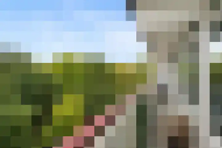 Akkerwinde 116 Capelle aan den IJssel thumbnail 30