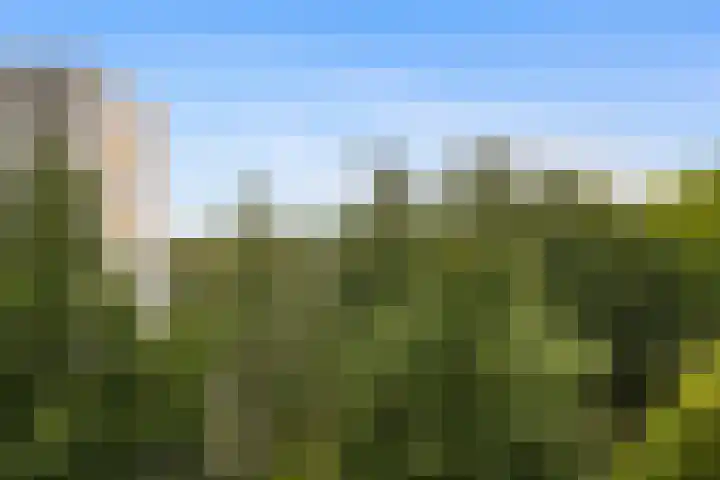 Akkerwinde 116 Capelle aan den IJssel thumbnail 31