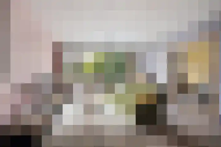 Akkerwinde 116 Capelle aan den IJssel thumbnail 5