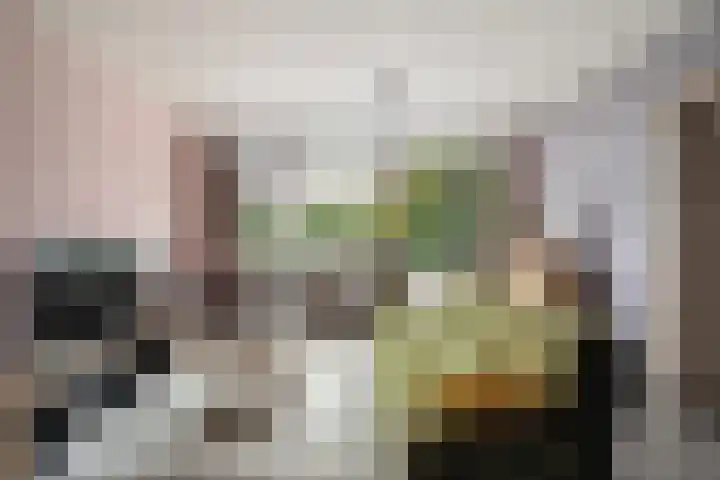 Akkerwinde 116 Capelle aan den IJssel thumbnail 6