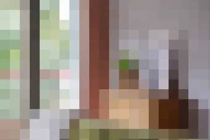 Akkerwinde 116 Capelle aan den IJssel thumbnail 9