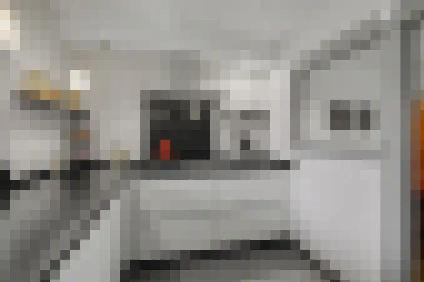 Akkerwinde 12 Hapert thumbnail 13