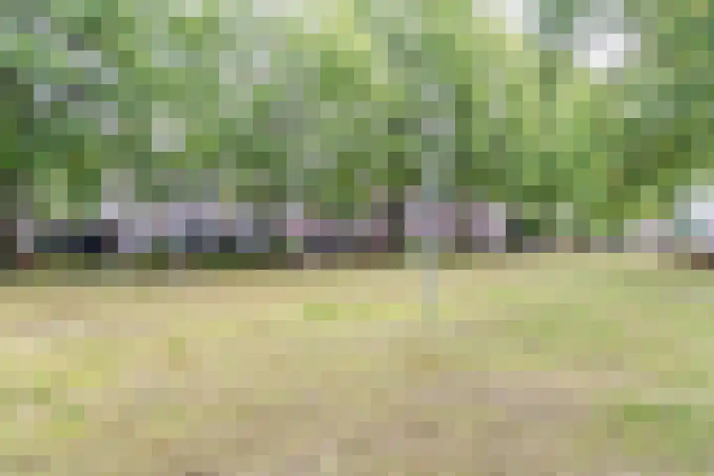 Akkerwinde 12 Hapert thumbnail 45
