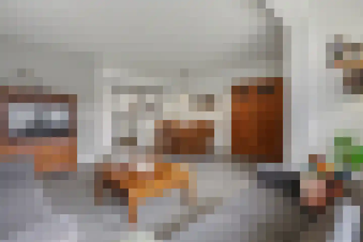 Akkerwinde 12 Hapert thumbnail 9