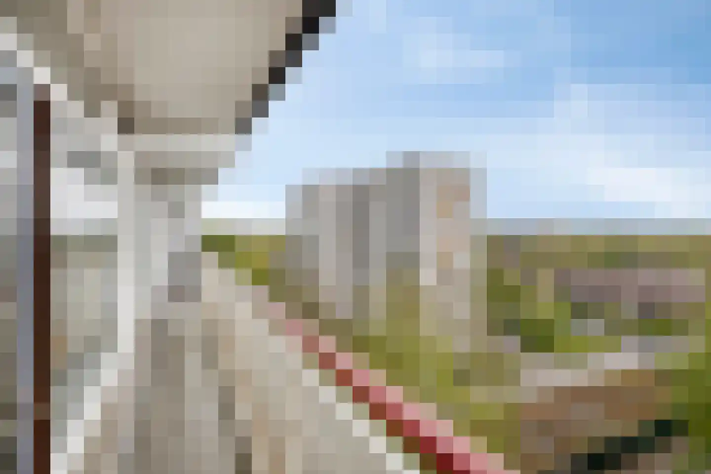 Akkerwinde 120 Capelle aan den IJssel thumbnail 18