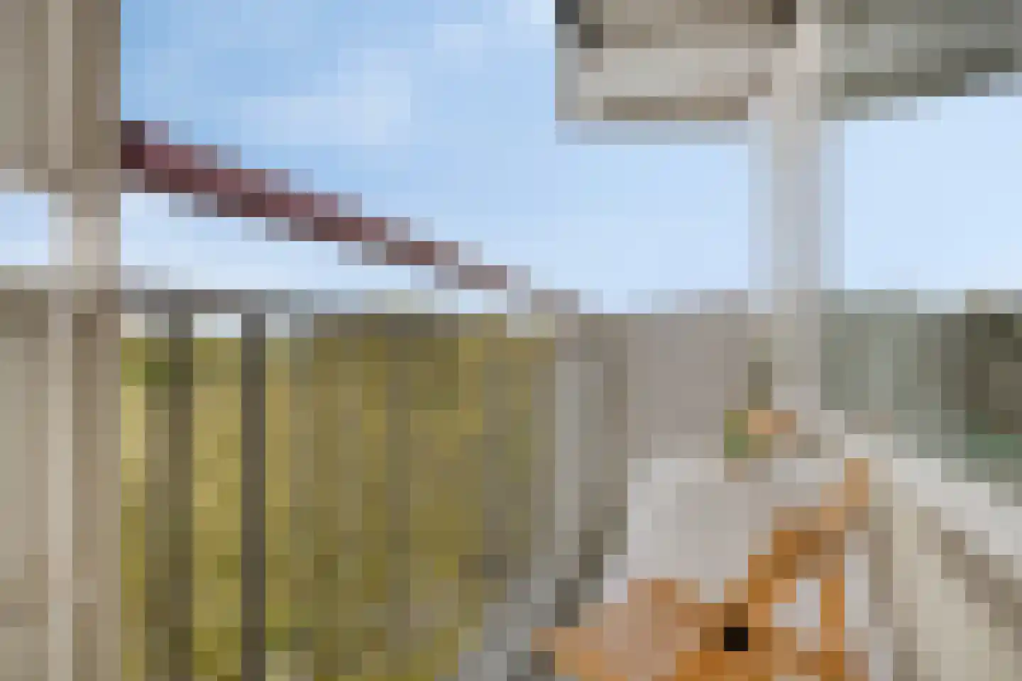 Akkerwinde 120 Capelle aan den IJssel thumbnail 30