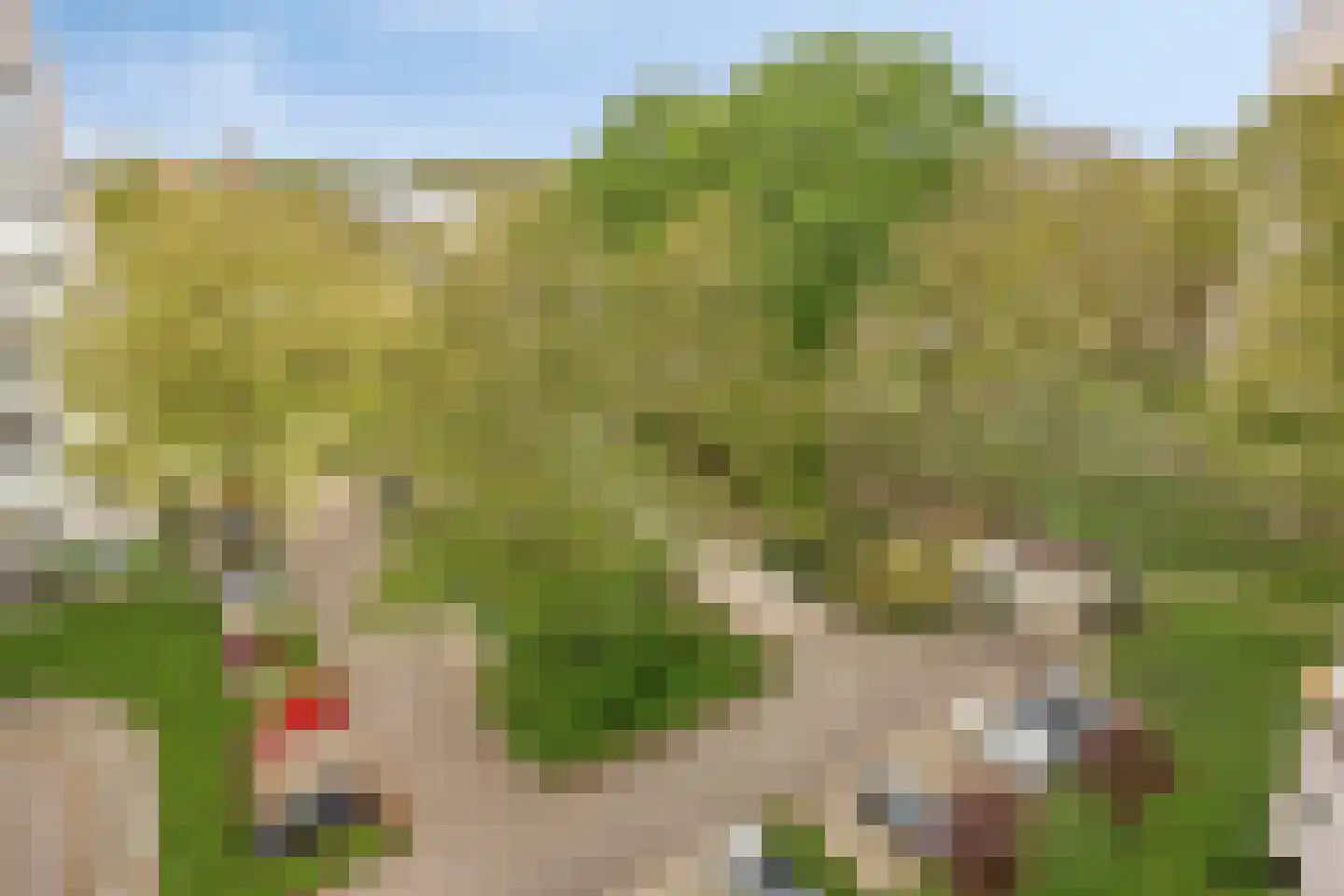 Akkerwinde 120 Capelle aan den IJssel thumbnail 31