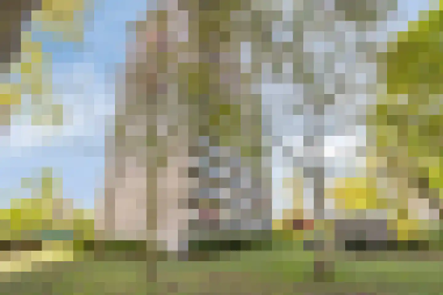 Akkerwinde 120 Capelle aan den IJssel thumbnail 37