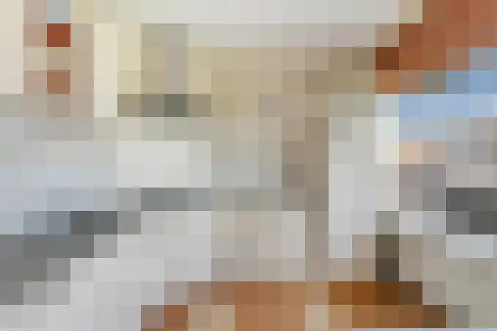 Akkerwinde 128 Capelle aan den IJssel thumbnail 10