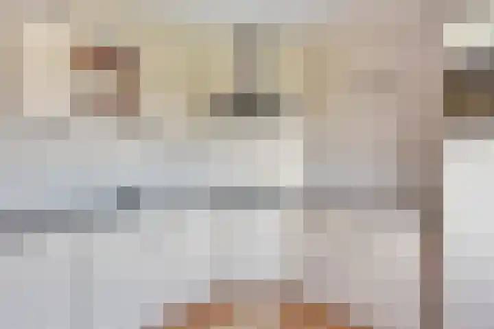 Akkerwinde 128 Capelle aan den IJssel thumbnail 11