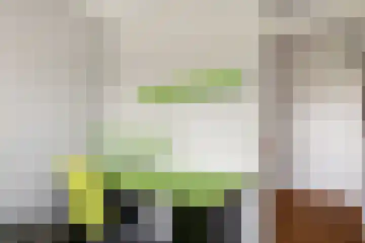 Akkerwinde 128 Capelle aan den IJssel thumbnail 19