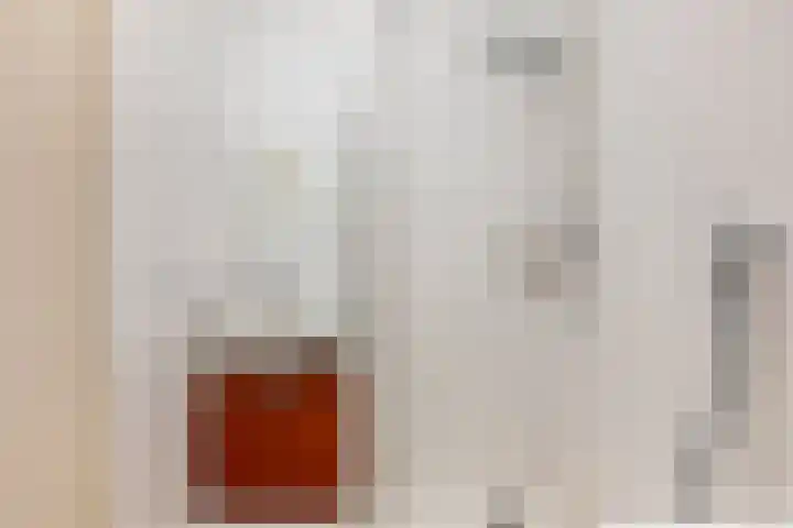 Akkerwinde 128 Capelle aan den IJssel thumbnail 20