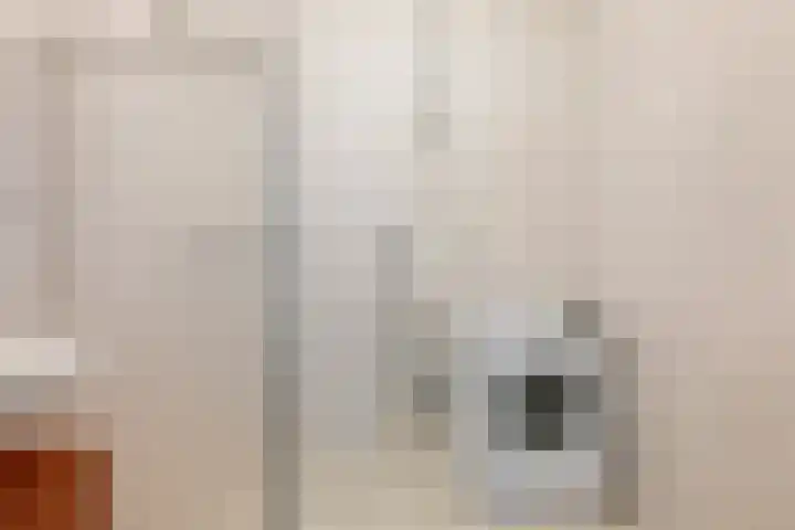 Akkerwinde 128 Capelle aan den IJssel thumbnail 21