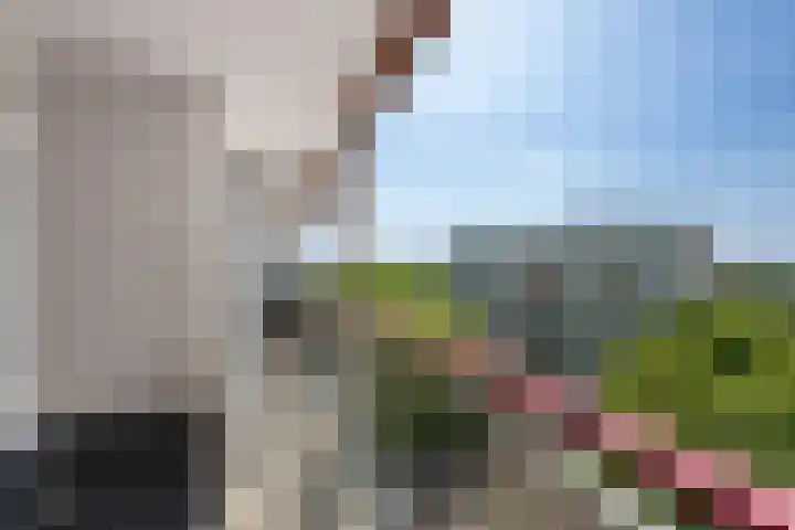 Akkerwinde 128 Capelle aan den IJssel thumbnail 27