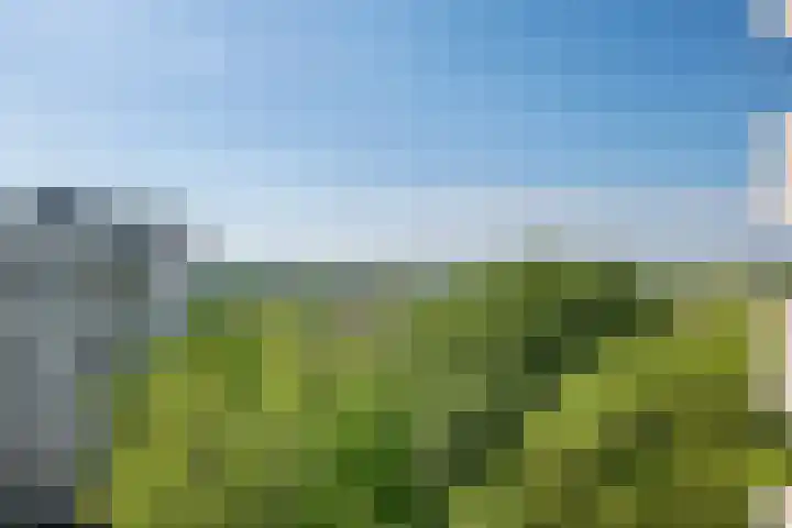 Akkerwinde 128 Capelle aan den IJssel thumbnail 28