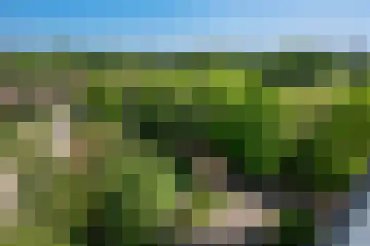 Akkerwinde 128 Capelle aan den IJssel thumbnail 29