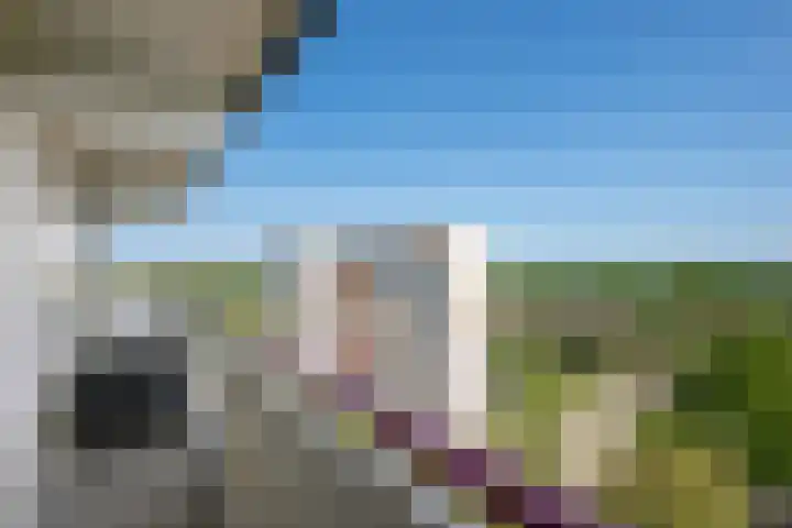 Akkerwinde 128 Capelle aan den IJssel thumbnail 31