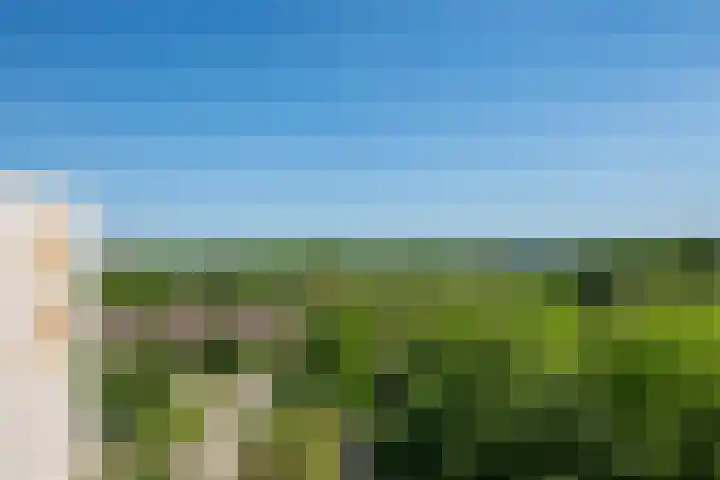 Akkerwinde 128 Capelle aan den IJssel thumbnail 32
