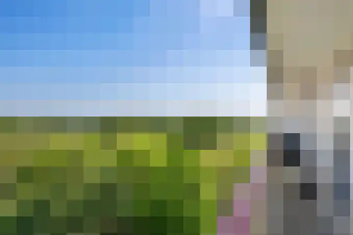 Akkerwinde 128 Capelle aan den IJssel thumbnail 33