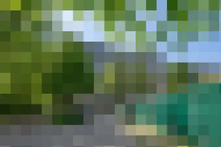 Akkerwinde 128 Capelle aan den IJssel thumbnail 37