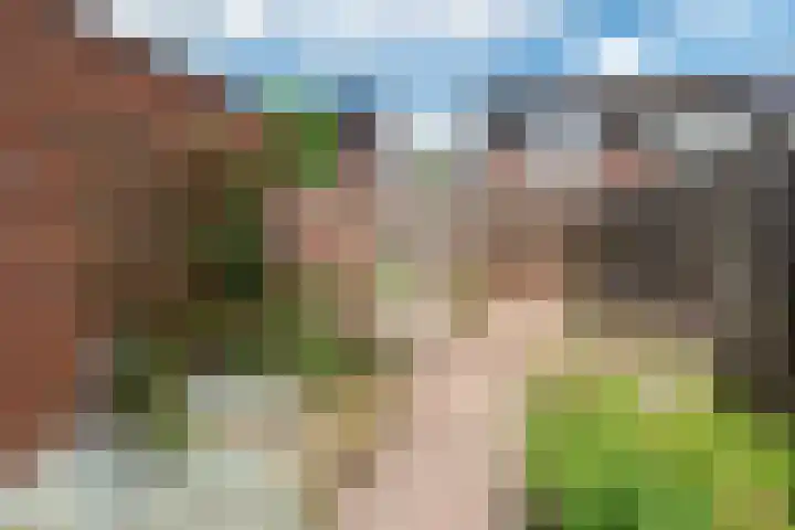 Akkerwinde 13 Nijverdal thumbnail 31