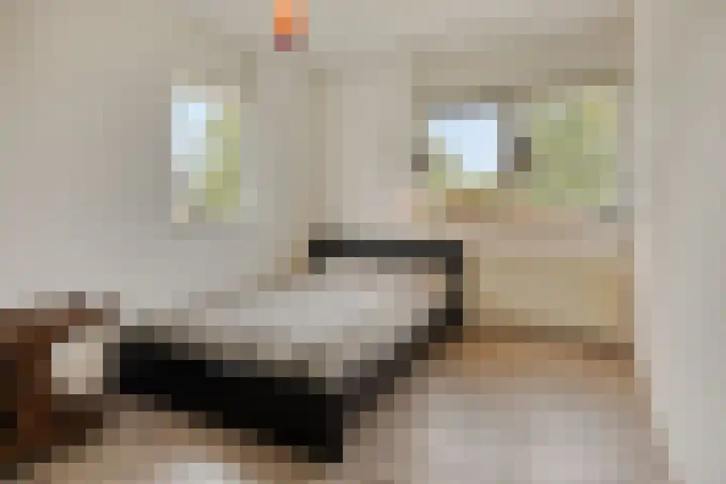 Akkerwinde 13 Roden thumbnail 20