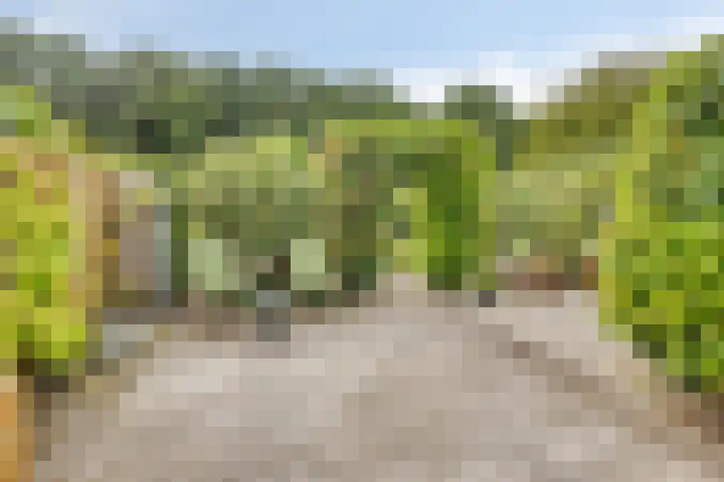 Akkerwinde 13 Roden thumbnail 29