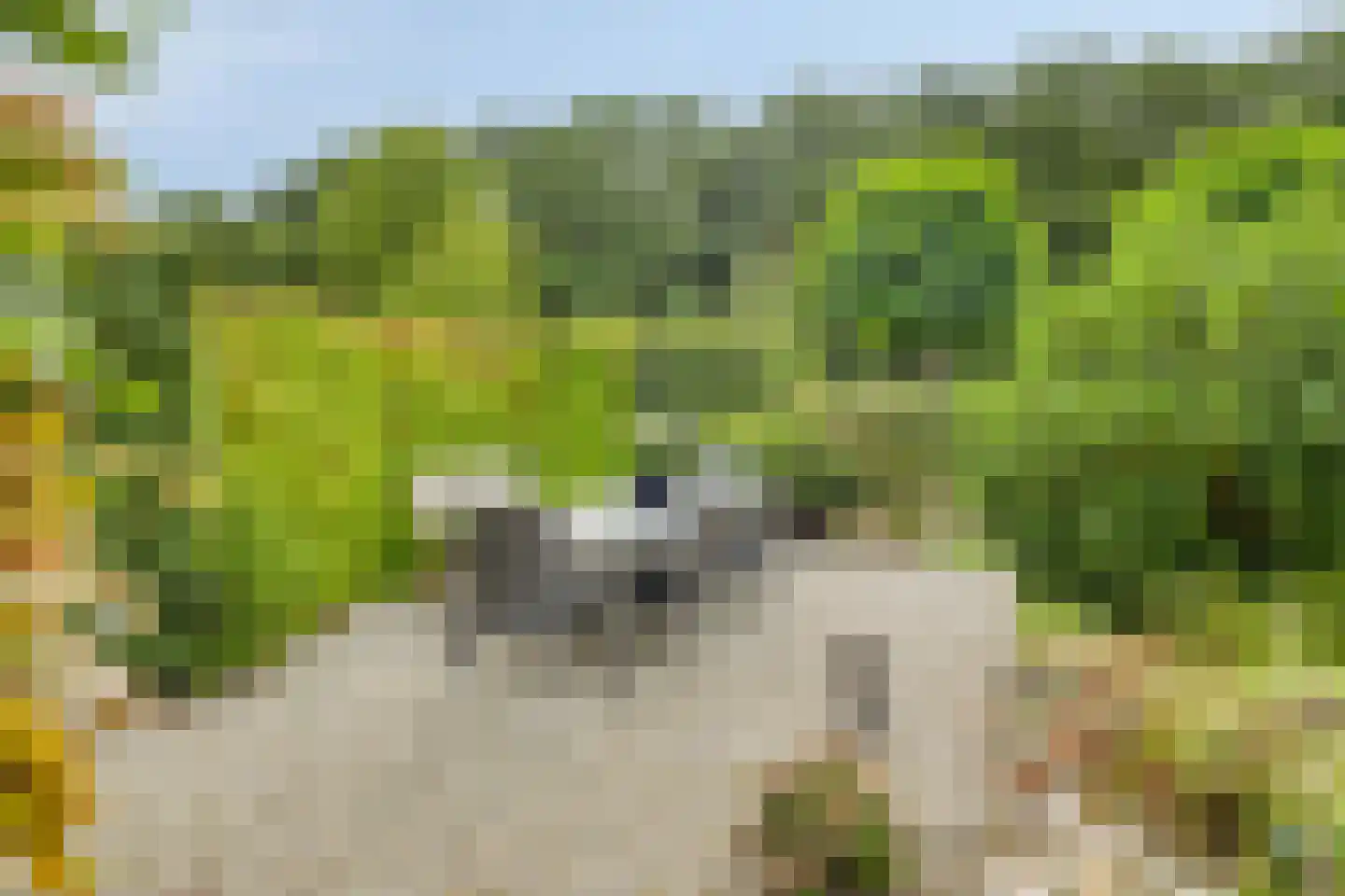 Akkerwinde 13 Roden thumbnail 30