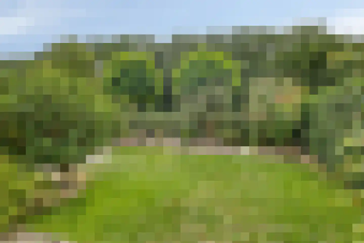 Akkerwinde 13 Roden thumbnail 32