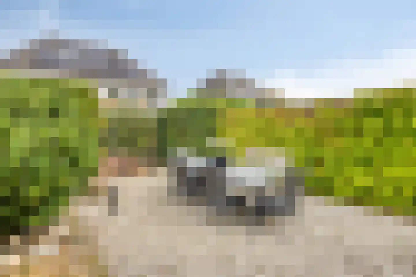 Akkerwinde 13 Roden thumbnail 33