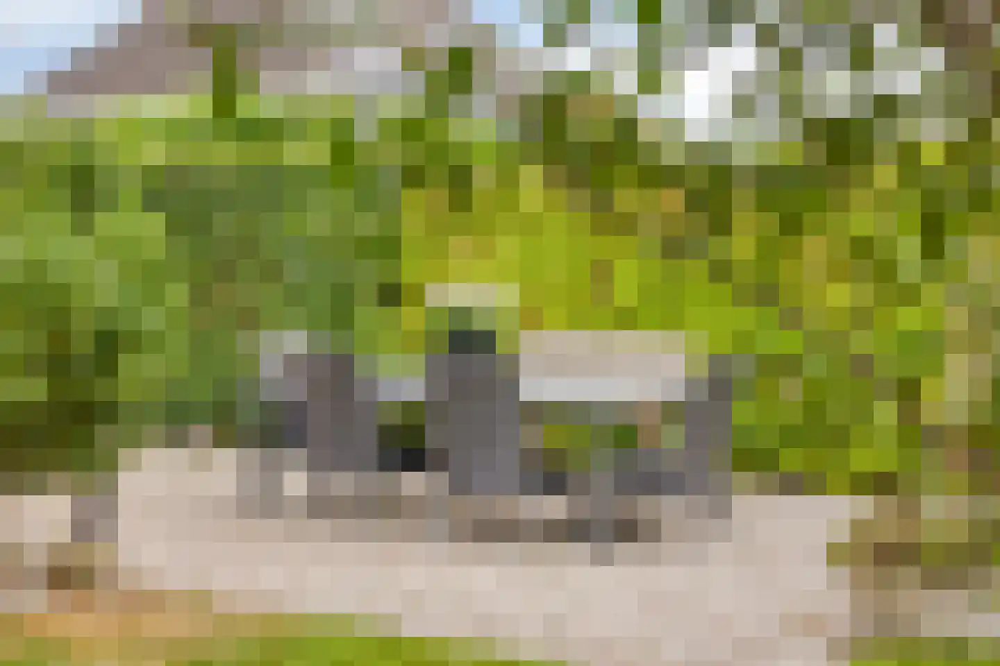 Akkerwinde 13 Roden thumbnail 34