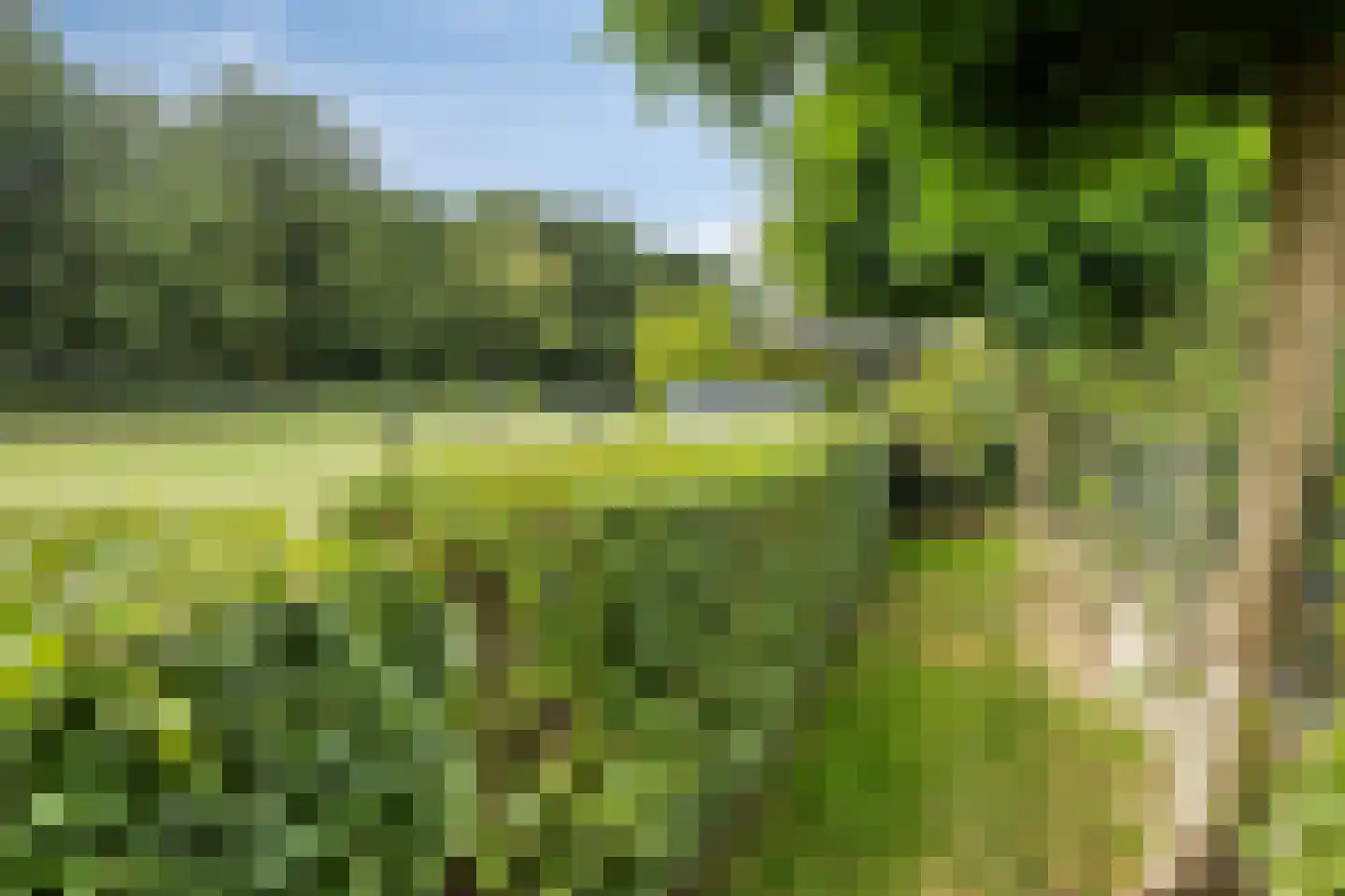 Akkerwinde 13 Roden thumbnail 38