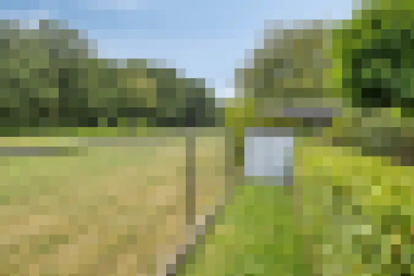 Akkerwinde 13 Roden thumbnail 39