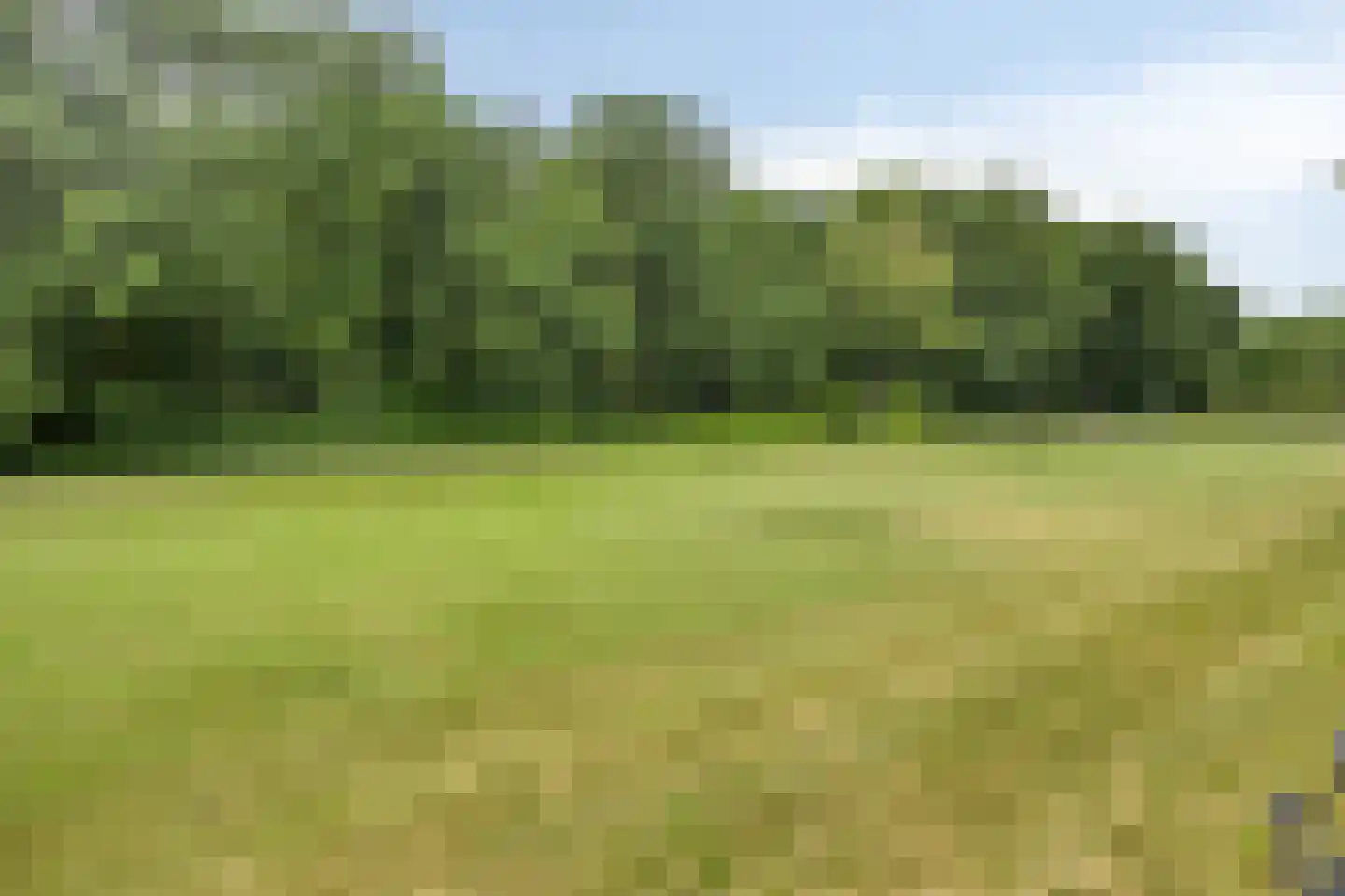 Akkerwinde 13 Roden thumbnail 42