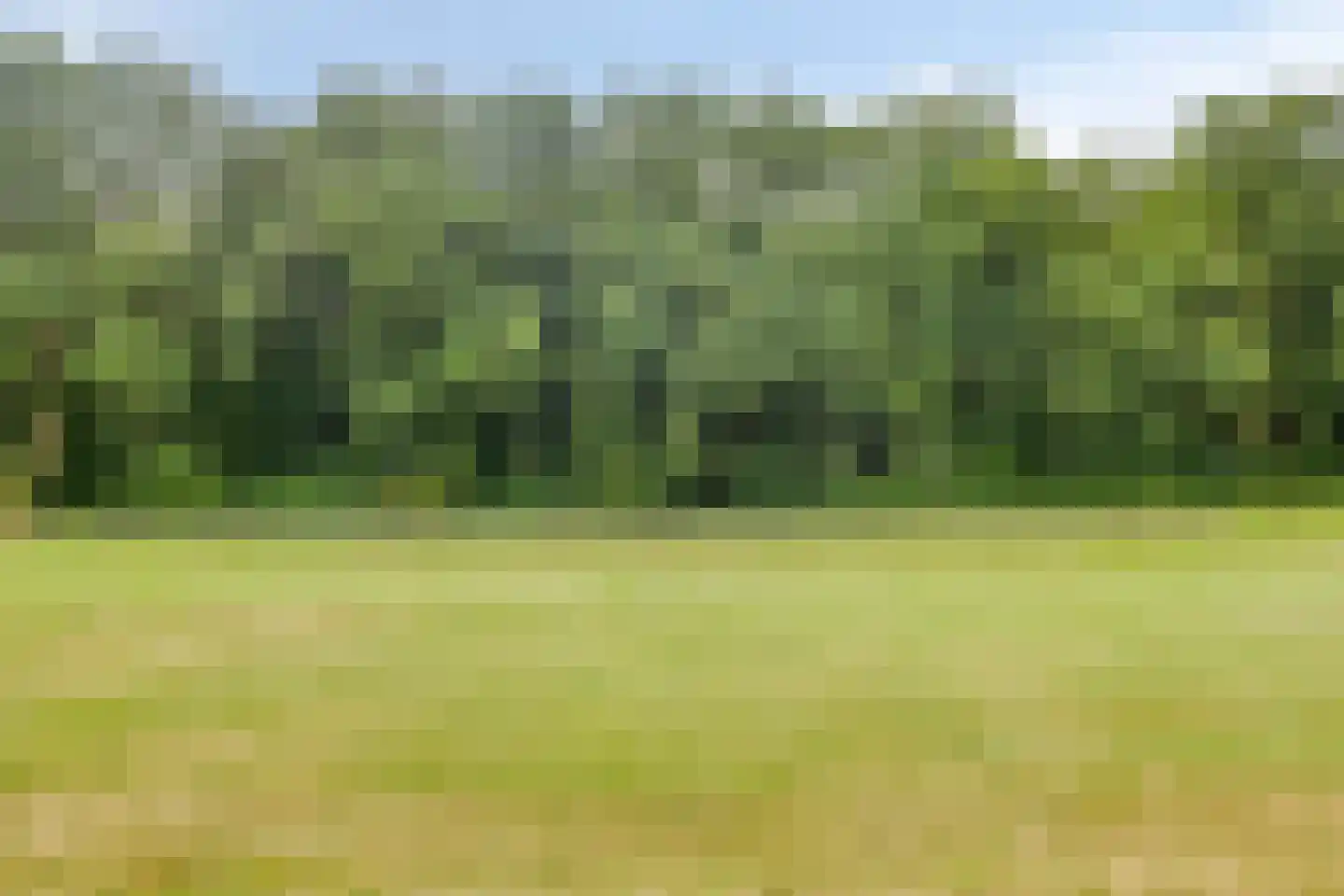 Akkerwinde 13 Roden thumbnail 43