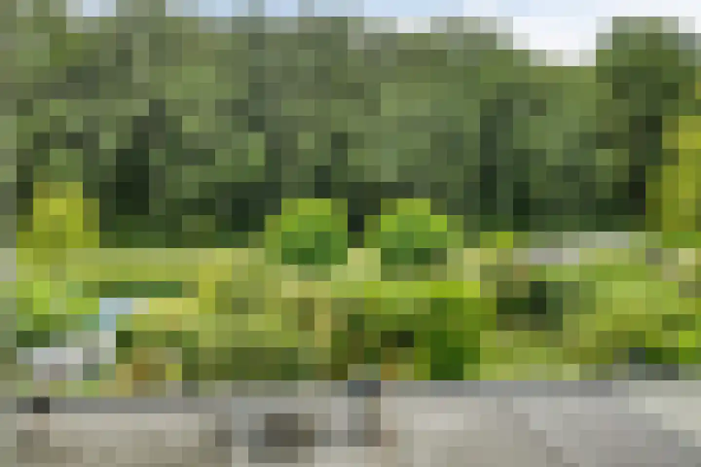 Akkerwinde 13 Roden thumbnail 45