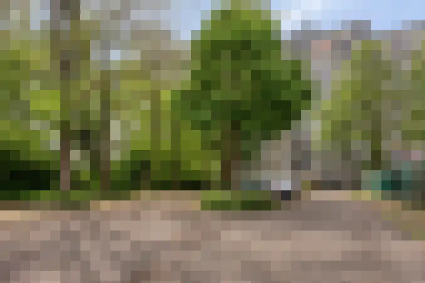 Akkerwinde 130 Capelle aan den IJssel thumbnail 32