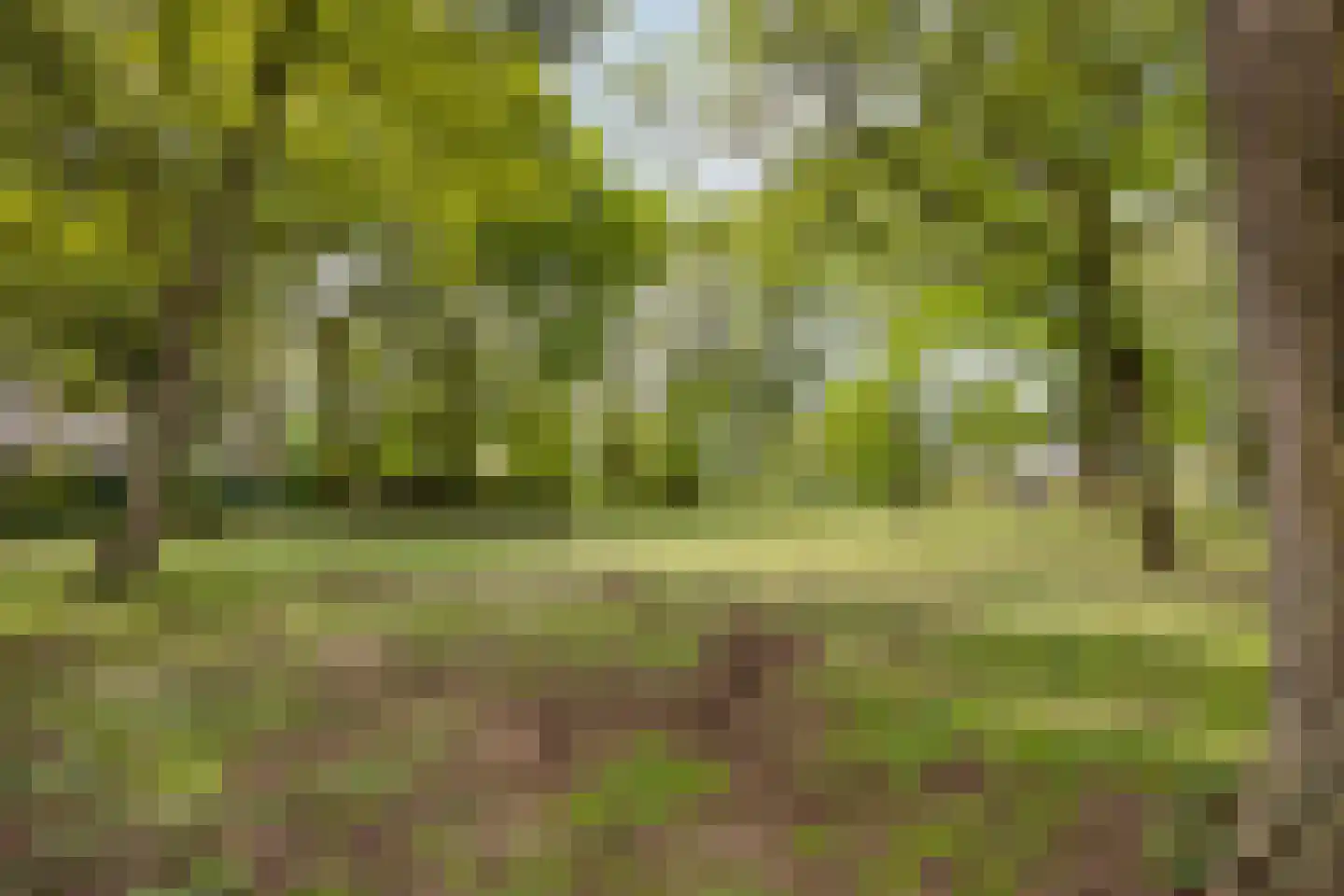 Akkerwinde 130 Capelle aan den IJssel thumbnail 34