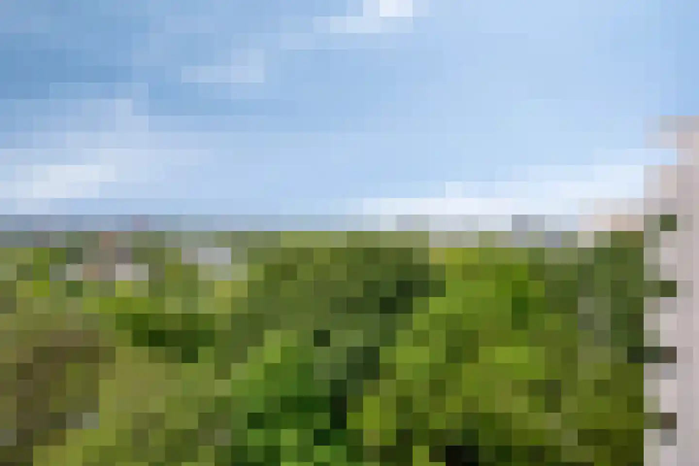 Akkerwinde 130 Capelle aan den IJssel thumbnail 7