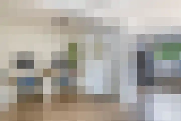 Akkerwinde 14 Waddinxveen thumbnail 10