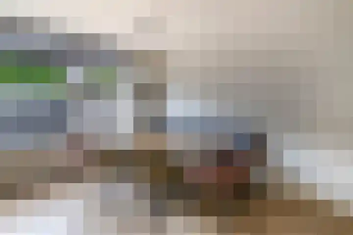 Akkerwinde 14 Waddinxveen thumbnail 12