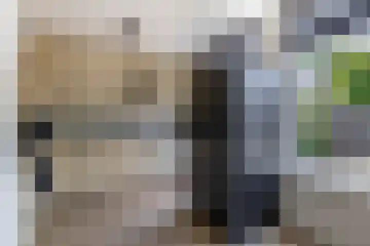 Akkerwinde 14 Waddinxveen thumbnail 13