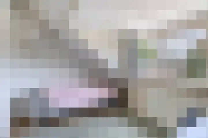 Akkerwinde 14 Waddinxveen thumbnail 27