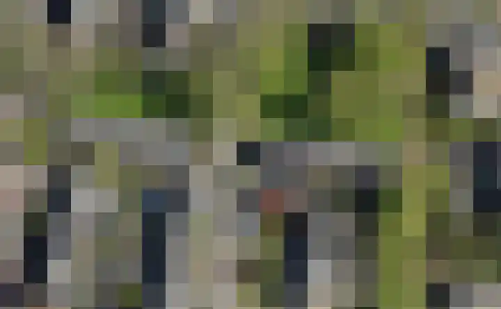 Akkerwinde 14 Waddinxveen thumbnail 30