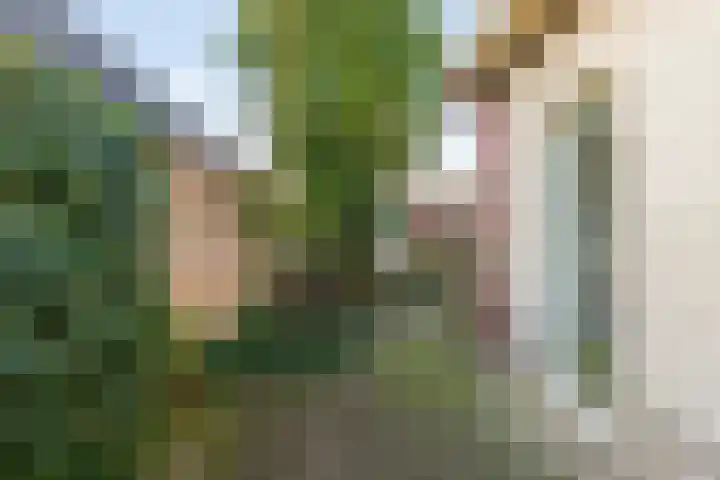 Akkerwinde 14 Wijhe thumbnail 44