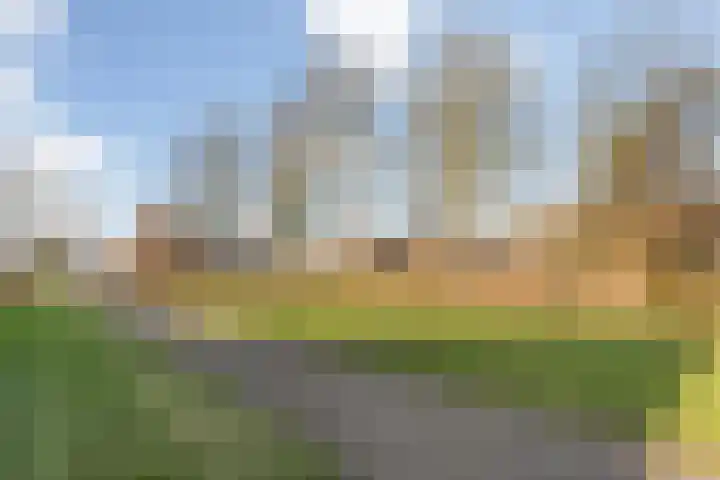Akkerwinde 14 Wijhe thumbnail 49