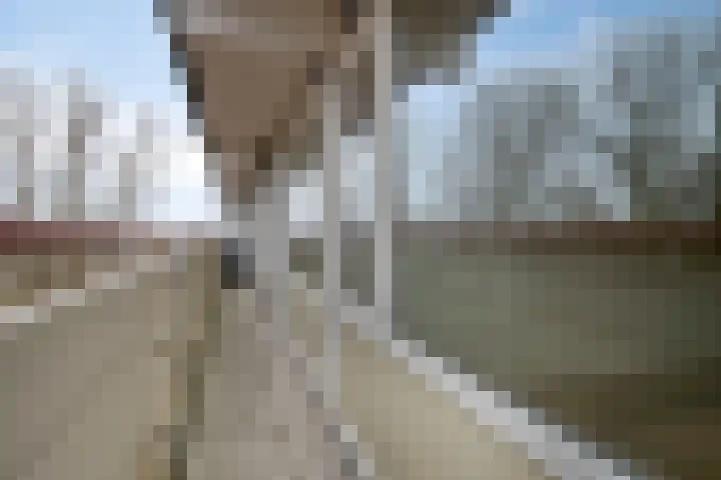 Akkerwinde 15 Capelle aan den IJssel thumbnail 18